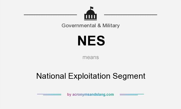 What does NES mean? It stands for National Exploitation Segment