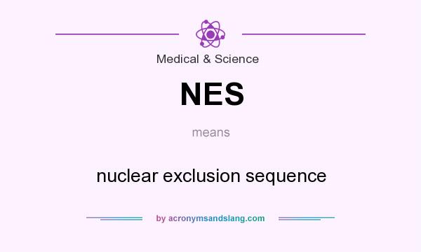 What does NES mean? It stands for nuclear exclusion sequence