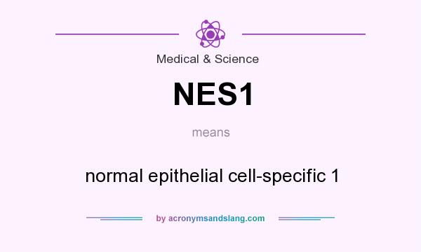 What does NES1 mean? It stands for normal epithelial cell-specific 1