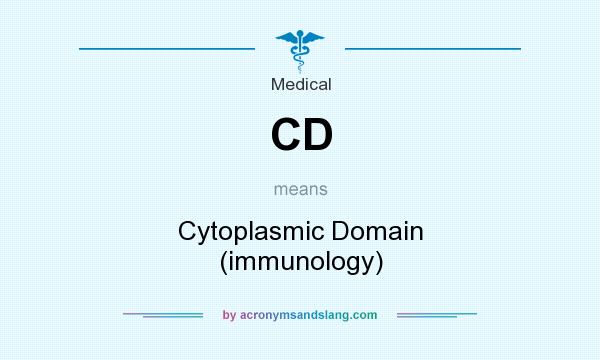 What does CD mean? It stands for Cytoplasmic Domain (immunology)