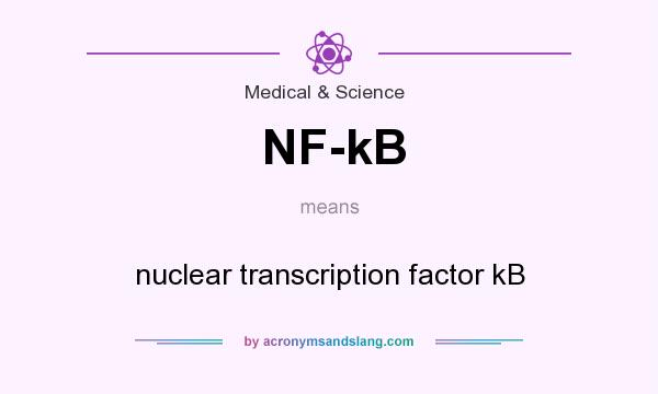 What does NF-kB mean? It stands for nuclear transcription factor kB