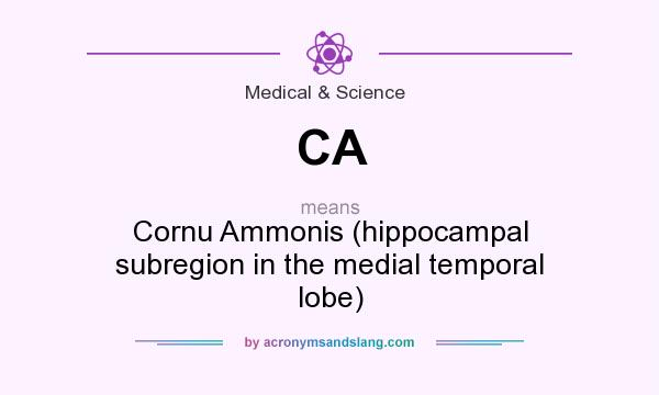 What does CA mean? It stands for Cornu Ammonis (hippocampal subregion in the medial temporal lobe)