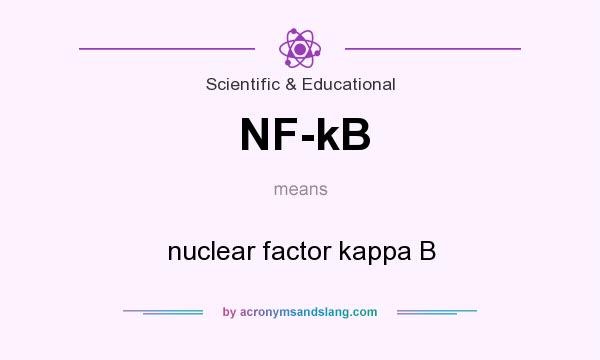 What does NF-kB mean? It stands for nuclear factor kappa B