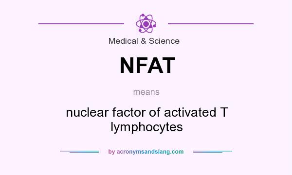 What does NFAT mean? It stands for nuclear factor of activated T lymphocytes