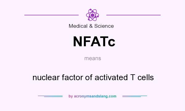 What does NFATc mean? It stands for nuclear factor of activated T cells