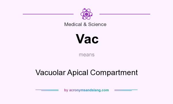 What does Vac mean? It stands for Vacuolar Apical Compartment