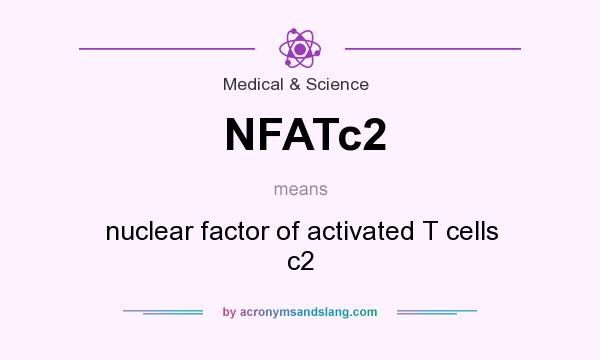 What does NFATc2 mean? It stands for nuclear factor of activated T cells c2