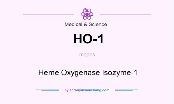 What does HO-1 mean? It stands for Heme Oxygenase Isozyme-1