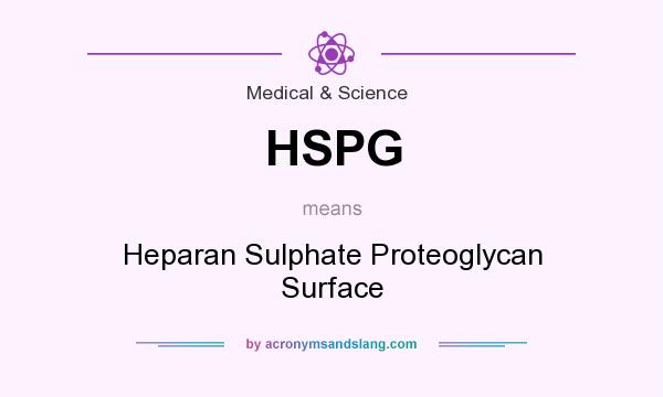 What does HSPG mean? It stands for Heparan Sulphate Proteoglycan Surface