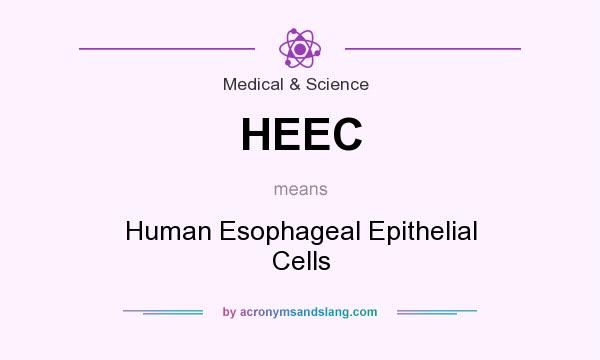 What does HEEC mean? It stands for Human Esophageal Epithelial Cells