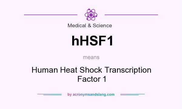 What does hHSF1 mean? It stands for Human Heat Shock Transcription Factor 1