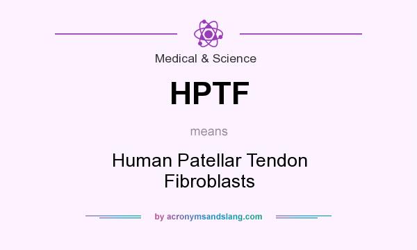 What does HPTF mean? It stands for Human Patellar Tendon Fibroblasts