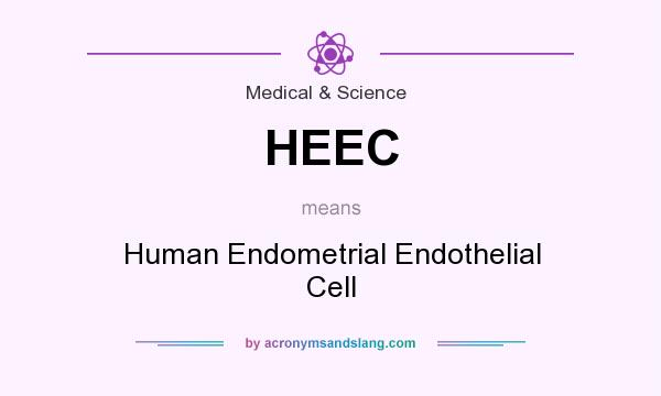 What does HEEC mean? It stands for Human Endometrial Endothelial Cell