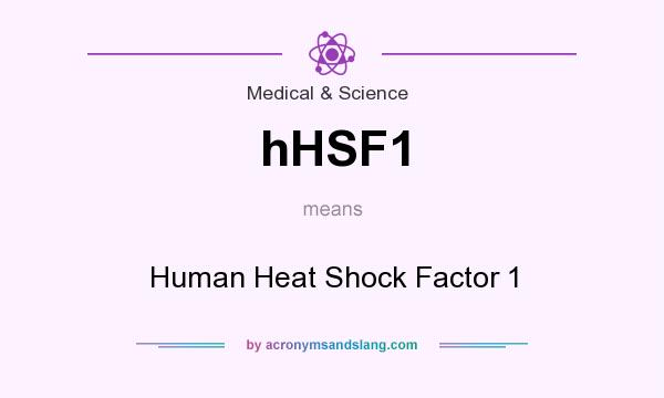 What does hHSF1 mean? It stands for Human Heat Shock Factor 1