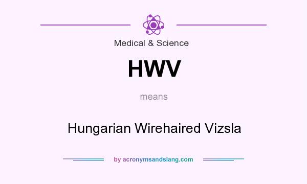 What does HWV mean? It stands for Hungarian Wirehaired Vizsla