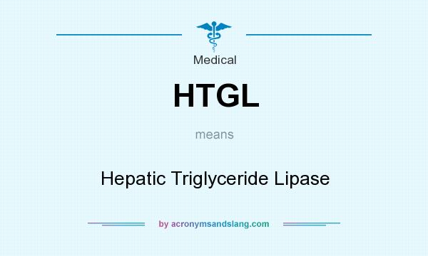 What does HTGL mean? It stands for Hepatic Triglyceride Lipase