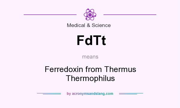 What does FdTt mean? It stands for Ferredoxin from Thermus Thermophilus