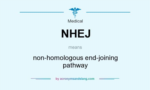 What does NHEJ mean? It stands for non-homologous end-joining pathway
