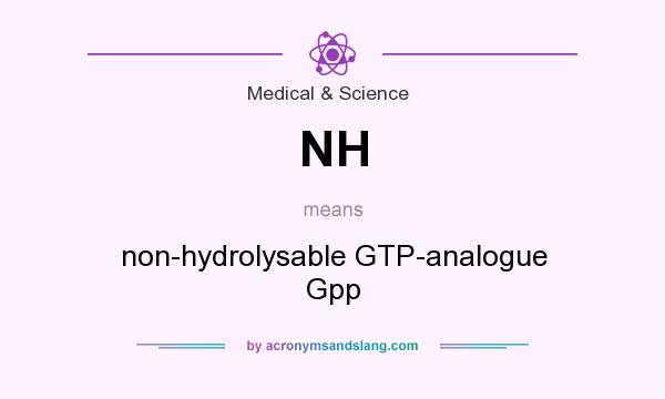 What does NH mean? It stands for non-hydrolysable GTP-analogue Gpp