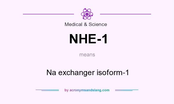 What does NHE-1 mean? It stands for Na exchanger isoform-1