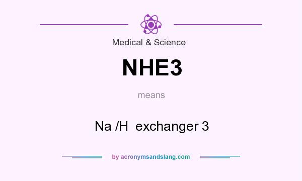 What does NHE3 mean? It stands for Na /H  exchanger 3