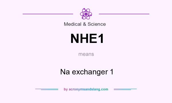 What does NHE1 mean? It stands for Na exchanger 1