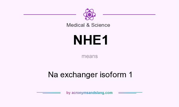 What does NHE1 mean? It stands for Na exchanger isoform 1
