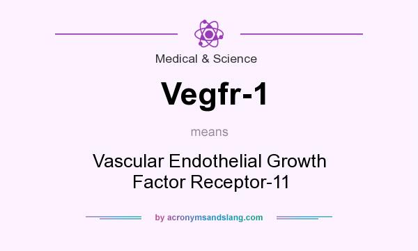 What does Vegfr-1 mean? It stands for Vascular Endothelial Growth Factor Receptor-11