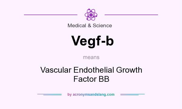 What does Vegf-b mean? It stands for Vascular Endothelial Growth Factor BB