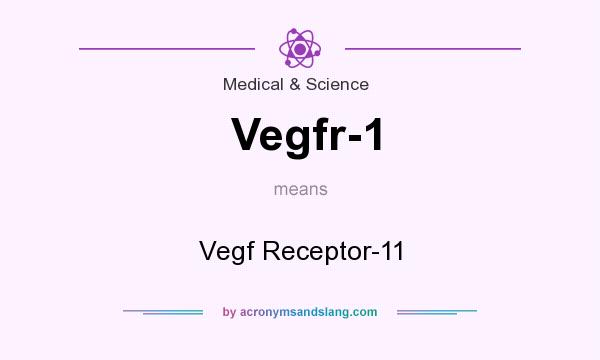 What does Vegfr-1 mean? It stands for Vegf Receptor-11
