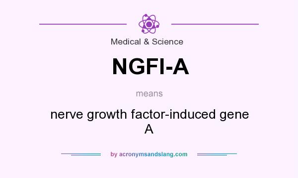 What does NGFI-A mean? It stands for nerve growth factor-induced gene A