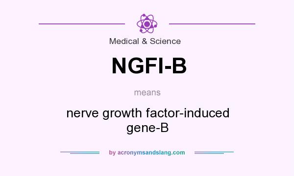 What does NGFI-B mean? It stands for nerve growth factor-induced gene-B