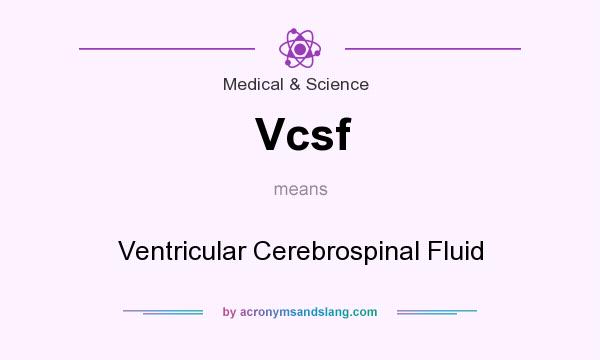 What does Vcsf mean? It stands for Ventricular Cerebrospinal Fluid
