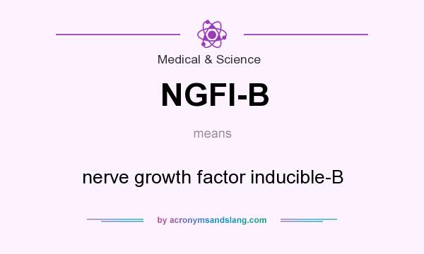 What does NGFI-B mean? It stands for nerve growth factor inducible-B