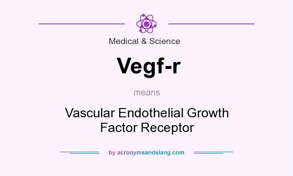 What does Vegf-r mean? It stands for Vascular Endothelial Growth Factor Receptor