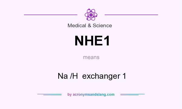 What does NHE1 mean? It stands for Na /H  exchanger 1