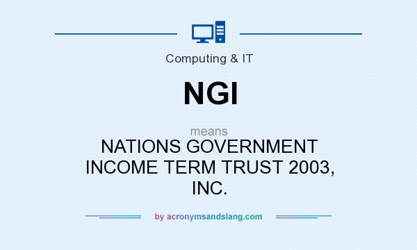 What does NGI mean? It stands for NATIONS GOVERNMENT INCOME TERM TRUST 2003, INC.