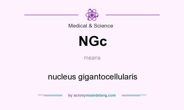 What does NGc mean? It stands for nucleus gigantocellularis