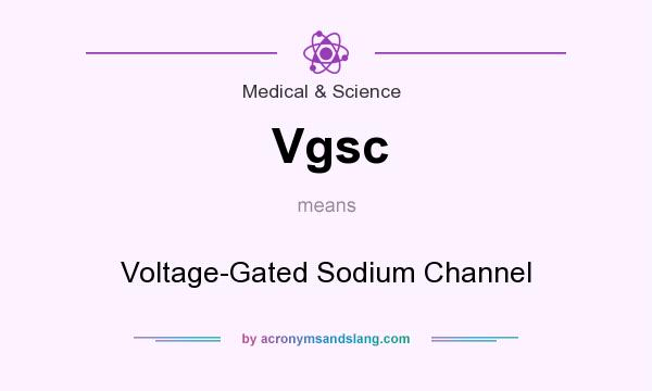 What does Vgsc mean? It stands for Voltage-Gated Sodium Channel