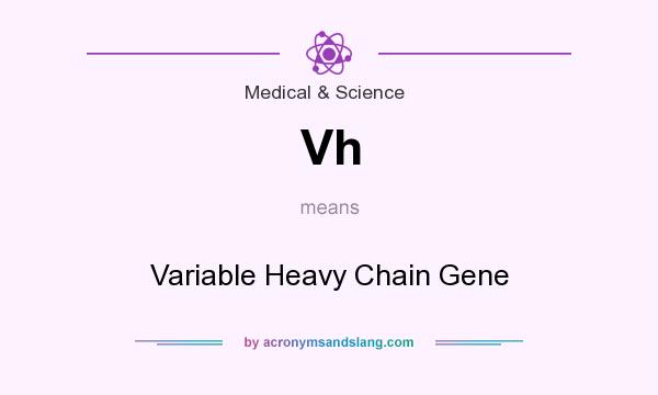 What does Vh mean? It stands for Variable Heavy Chain Gene