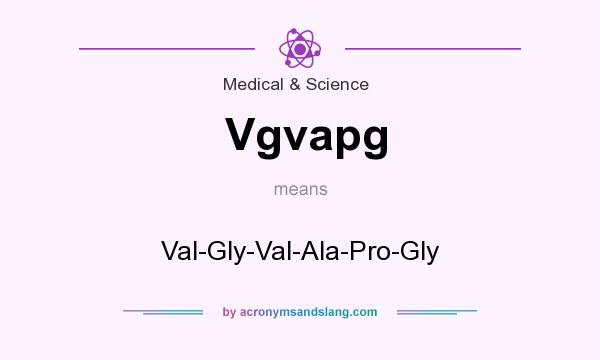 What does Vgvapg mean? It stands for Val-Gly-Val-Ala-Pro-Gly
