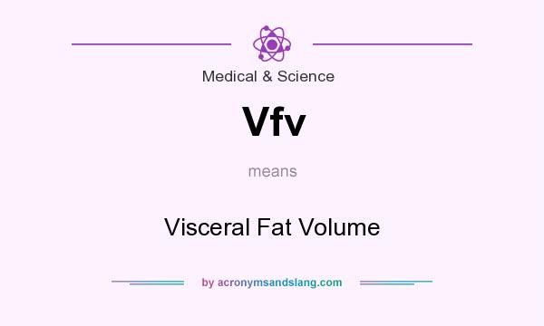 What does Vfv mean? It stands for Visceral Fat Volume
