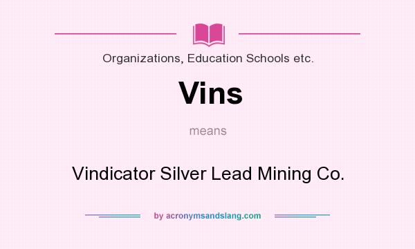 What does Vins mean? It stands for Vindicator Silver Lead Mining Co.