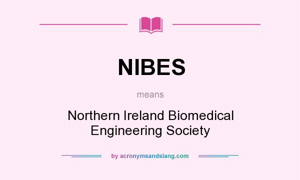 What does NIBES mean? It stands for Northern Ireland Biomedical Engineering Society
