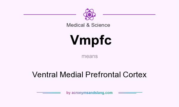What does Vmpfc mean? It stands for Ventral Medial Prefrontal Cortex