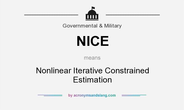 What does NICE mean? It stands for Nonlinear Iterative Constrained Estimation
