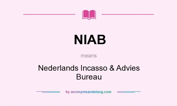 What does NIAB mean? It stands for Nederlands Incasso & Advies Bureau
