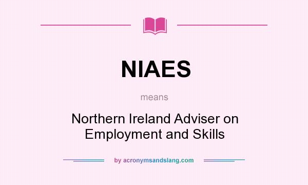 What does NIAES mean? It stands for Northern Ireland Adviser on Employment and Skills