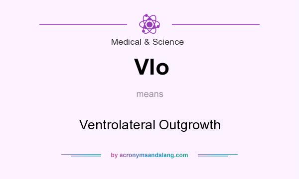 What does Vlo mean? It stands for Ventrolateral Outgrowth