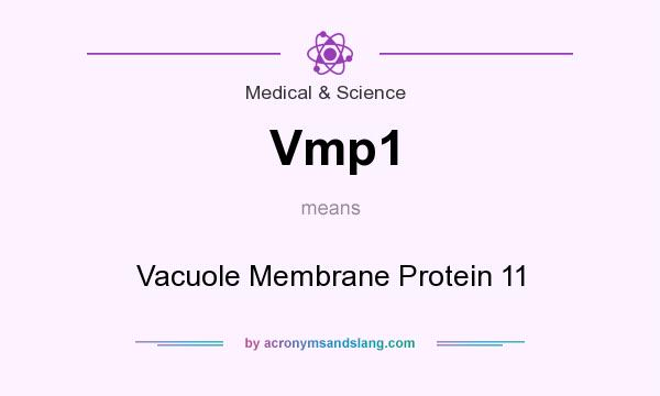 What does Vmp1 mean? It stands for Vacuole Membrane Protein 11